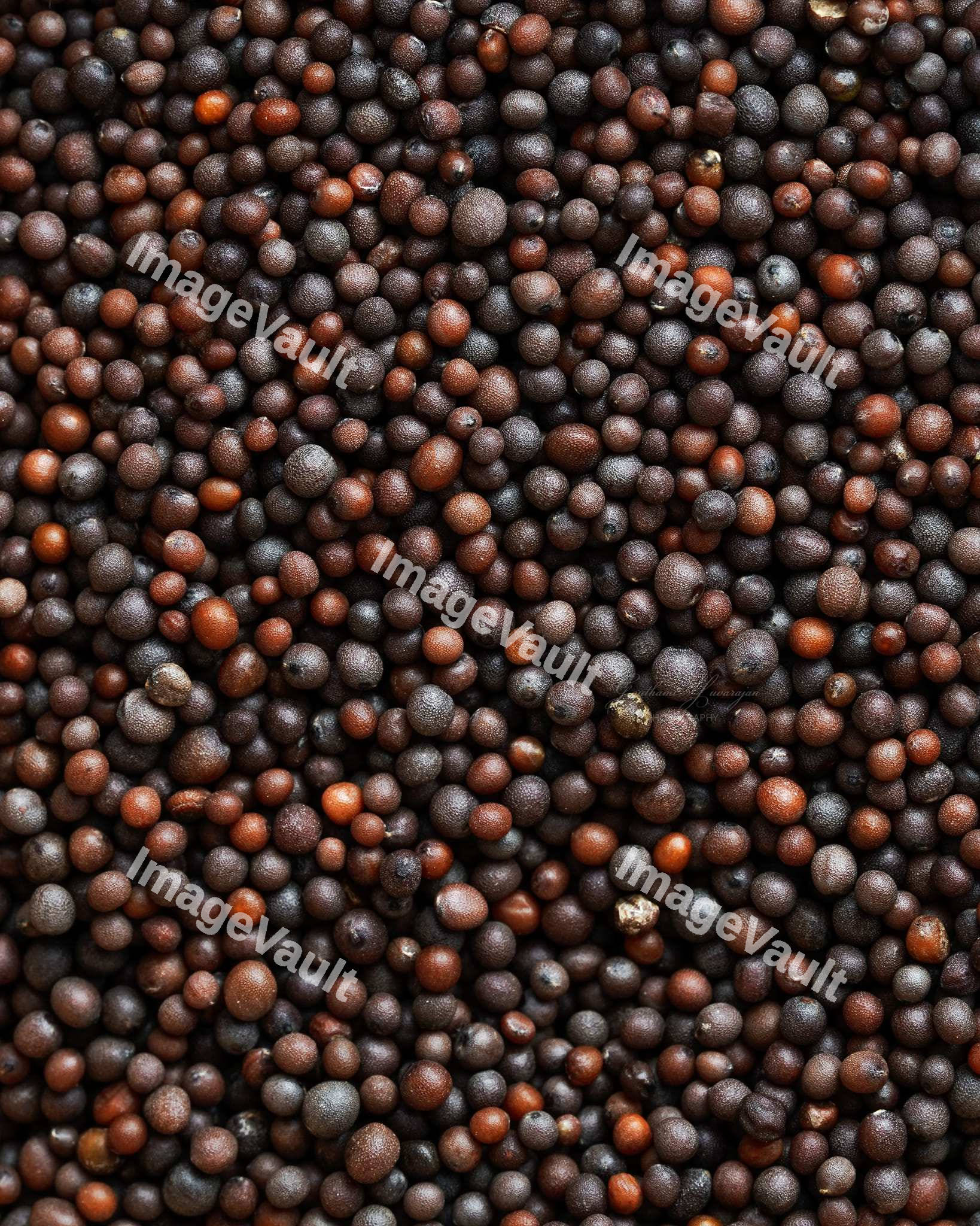 Brown Mustard Seeds